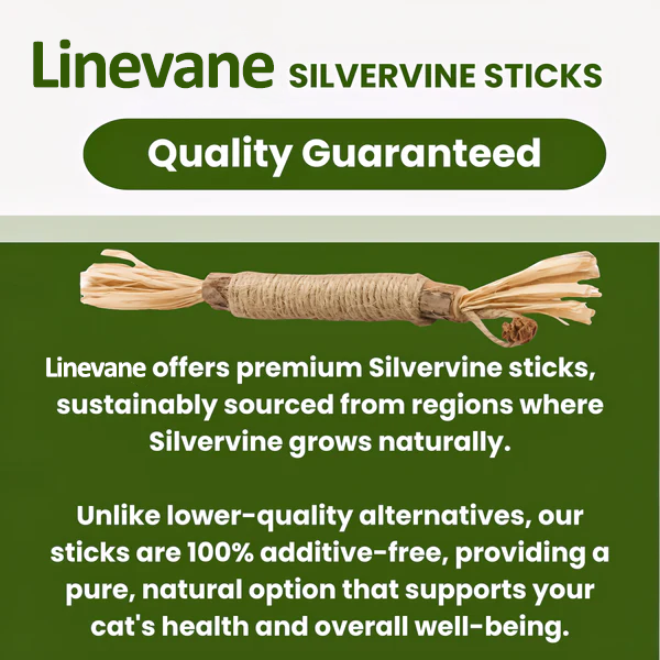 Purriq Natural Silvervine Dental Sticks