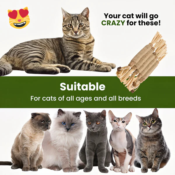 Purriq Natural Silvervine Dental Sticks