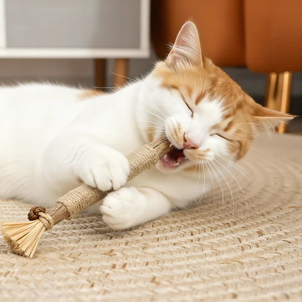 Purriq Natural Silvervine Dental Sticks