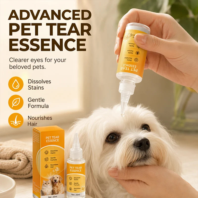 ✨ Gentle pet eye care—cleaning the eye area and daily fur grooming 👀