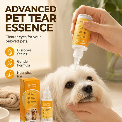 ✨ Gentle pet eye care—cleaning the eye area and daily fur grooming 👀