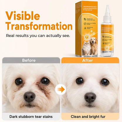 ✨ Gentle pet eye care—cleaning the eye area and daily fur grooming 👀